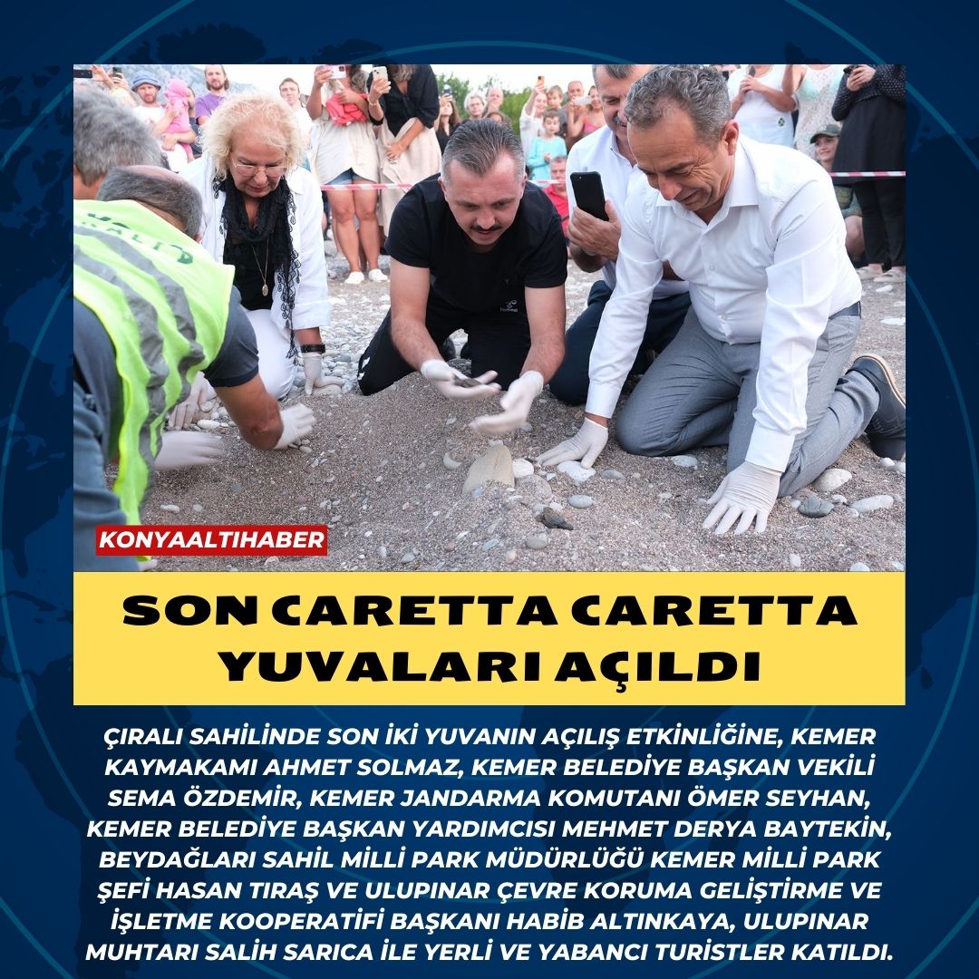 Son caretta caretta yuvaları açıldı