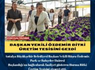 Başkan Vekili Özdemir bitki üretim tesisini gezdi