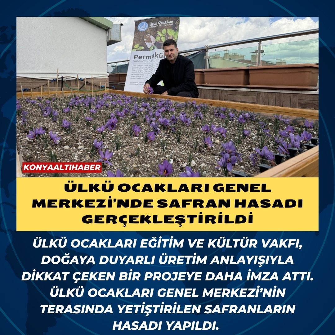 Ülkü Ocakları Genel Merkezi’nde Safran Hasadı Gerçekleştirildi