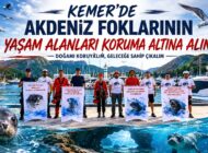 Akdeniz Foklarının Yaşam Alanları Koruma Altına Alındı