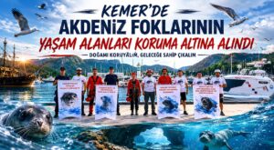 Akdeniz Foklarının Yaşam Alanları Koruma Altına Alındı