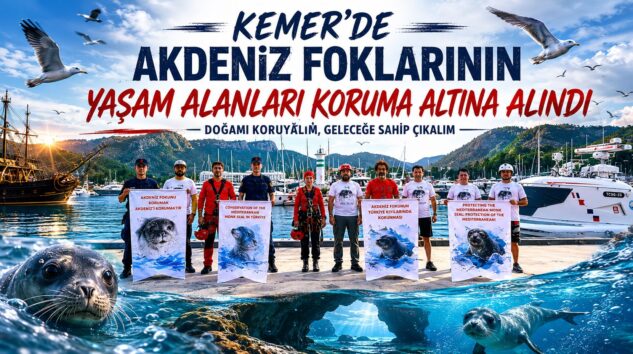 Akdeniz Foklarının Yaşam Alanları Koruma Altına Alındı