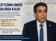 Çiftçinin Emeği Dalında Kaldı
