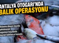 Antalya Otogarı’nda balık operasyonu