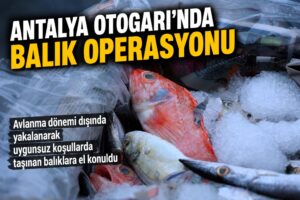 Antalya Otogarı’nda balık operasyonu
