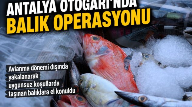 Antalya Otogarı’nda balık operasyonu