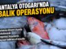 Antalya Otogarı’nda balık operasyonu