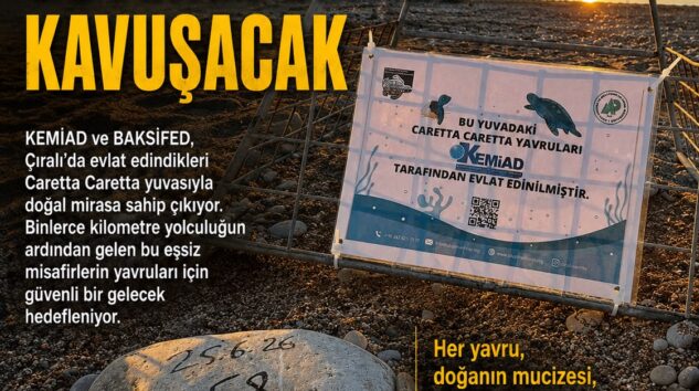 KEMİAD ve BAKSİFED’den Caretta Carettalara Anlamlı Destek